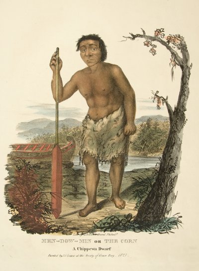 Men-dow-min or The Corn by James Otto Lewis